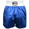 Cleto Reyes Women's Satin Polyester Boxing Skirt Trunks - Blue/White 2 Cleto Reyes Women's Satin Polyester Boxing Skirt Trunks - Blue/White -Women Store GUEST 40cd019e 6d04 49f4 be1c d9bddd56e129