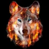 Junior's Design By Humans Wolf Escape From Forest Fire By Hkartist T-Shirt 1 Junior's Design By Humans Wolf Escape From Forest Fire By Hkartist T-Shirt -Women Store GUEST 8d5c4bce 9518 45fa b0d5 226686f7c129