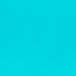 Swimsuits For All Women’s Plus Size High Waist Bikini Bottom 4 Swimsuits For All Women’s Plus Size High Waist Bikini Bottom - Image 2